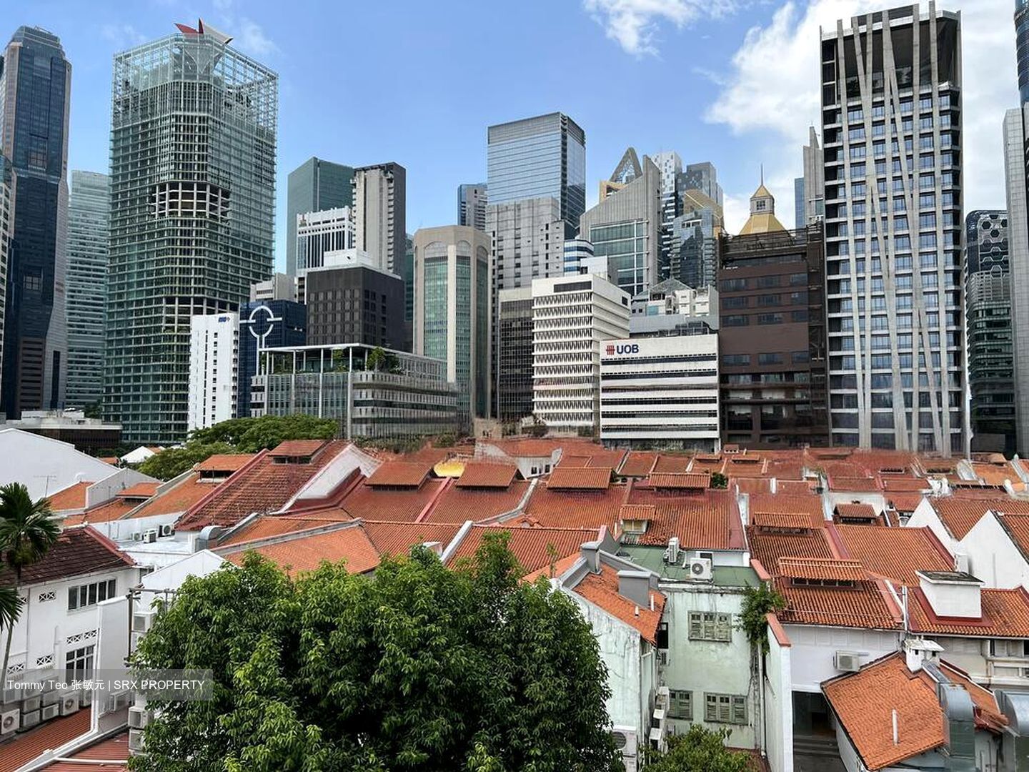 Telok Ayer Conservation Area (D1), Shop House #480149891